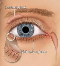 LipiFlow - The Eye Practice